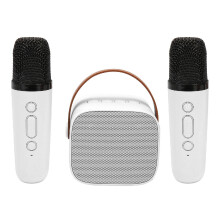 Karaoke-Maschine Multifunktions Stereo-Sound Tragbarer Bluetooth-Lautsprecher mit 2 kabellosen Mikrofonen für Zuhause Party KTV Weiß