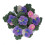 Phalaenopsis 1:12 Fleur miniature pour maison de poupée - argile 6