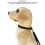 Hands-Free Pet Bathing Tether Leash with 6.5cm Suction Cup - Black S 7