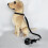 Hands-Free Pet Bathing Tether Leash with 6.5cm Suction Cup - Black S 10