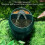 Fuente para reptiles de ABS - Cascada, Comedero 7