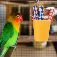 Jouet pour oiseaux à gobelets de recherche - Ensemble de 3 pièces - Couleur aléatoire