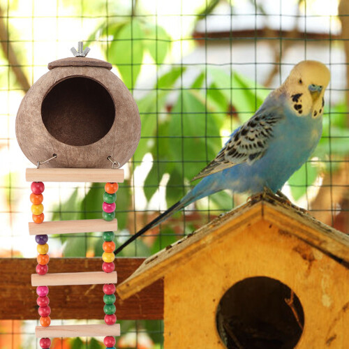 Großes Kokosnuss-Vogelhaus mit Leiter - Kiefernschale 2