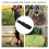 Padded Waterproof Metal Detector Bag for Outdoor Detecting & Storage 4