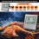 Termometro digitale per carne da 0–300 C, 7 programmi e timer 5