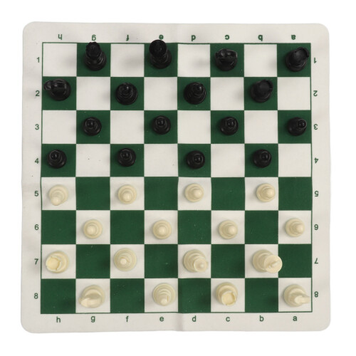 Set portatile di scacchi e dama 24 pezzi verde e bianco 50 cm