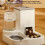Large Capacity 2-in-1 Automatic Cat Feeder & Waterer Set 27x27x24.5cm Grey 11