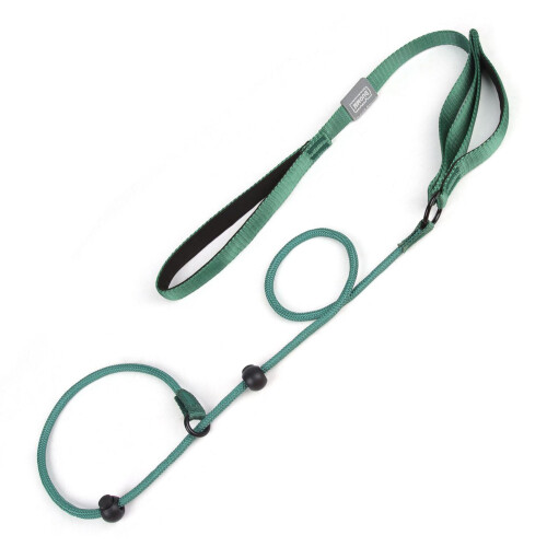 Flexible Slip Dog Leash 1.5m Adjustable No Pull Lead for Medium & Large Dogs 2