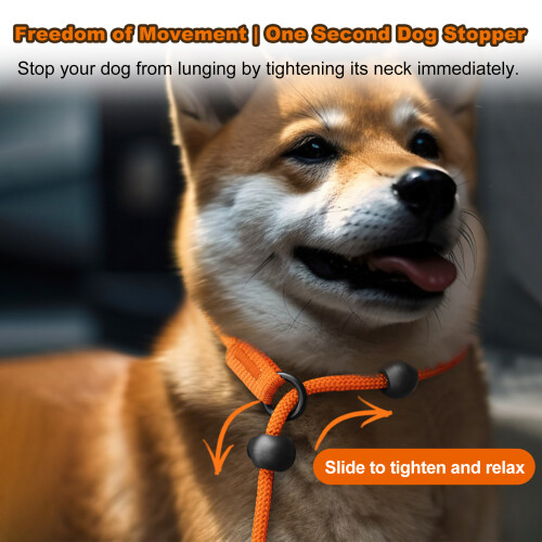 Flexible Slip Dog Leash 1.5m Adjustable No Pull Lead for Medium & Large Dogs 1