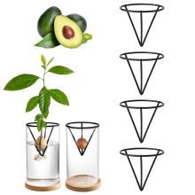 Avocado Growing Kit Professional Avocado Seed Holder Triangle Metal Holder 4 Pack Garden Lovers Home Office Desk Decor