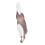 Figurine de cheval : cheval modèle, taille 12 cm, gris argenté 11