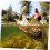 Bait Trap 2-Piece Red Bait Fish Container For Feeder Angling With Improved Bait Release 5