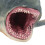 Modèle de requin de simulation - jouet en plastique réaliste 9