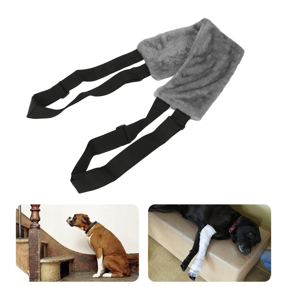 Adjustable Soft Dog Lift Harness for Senior & Injured Dogs, S