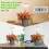 Adjustable Indoor Grow Light for Plants 2/4/8h Timer Mini Circular LEDs 9