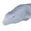 Wireless Dinosaur Water Play Toy with Remote Control, 3.7V 500mAh 12