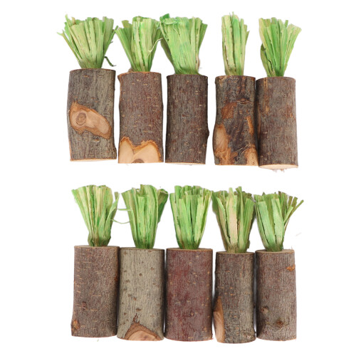 10Pcs Edible Rabbit Chew Sticks – Safe, Prevent Urinary Stones, Green Corn Husk 1