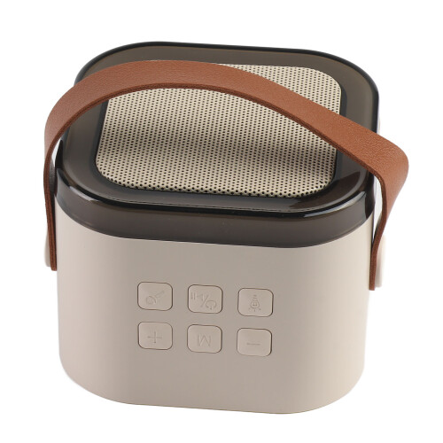 Mini Handheld Karaoke Mic Speaker for Home & Outdoor BT 5.0
