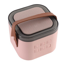 Tragbare 15,5W Kabellose Bluetooth-Ohrhörer mit Ladekoffer, IPX7 wasserdicht, Schwarz