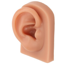 3D Piercing Übungsohrmodell Dunkelhäutige Hautfarbe Weiches Silikon-Ohrmodell für Ohrring-Display Akupunktur Rechts