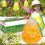 2 Pack Orange Gourd-Shaped Wasp Traps for Gardens and Patios 3
