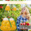 2 Pack Orange Gourd-Shaped Wasp Traps for Gardens and Patios 5