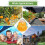 2 Pack Orange Gourd-Shaped Wasp Traps for Gardens and Patios 8