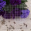 Acrylic Stamping Grid Block Scrapbooking Cards 12