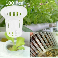 100 st Hydroponisk kolonisering nätkorg Plant plantskola Cup Kruka Aeroponic Grönsaksplantering Väx