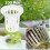 Lot de 100 paniers de colonisation hydroponique pour plantes, pots ... 1