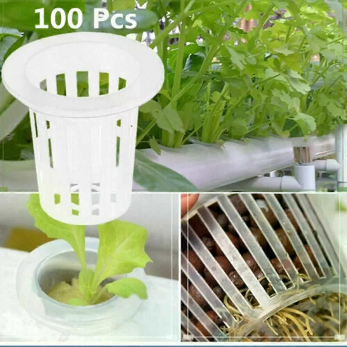 Lot de 100 paniers de colonisation hydroponique pour plantes, pots ...