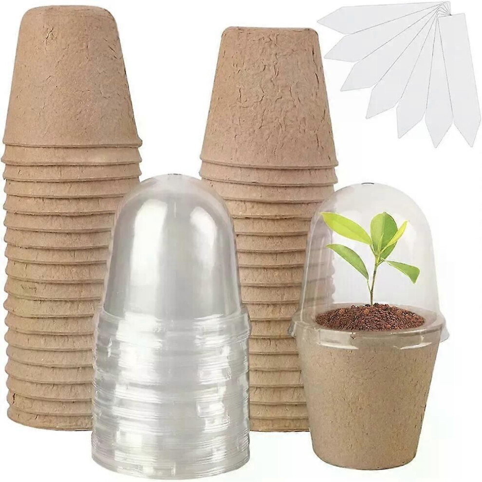 Lot de 10 pots de culture pour semis, couvercle transparent, serre biodégradable