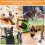 Portable Adjustable Dog Muzzle L with Soft Mesh for All-Day Use 6