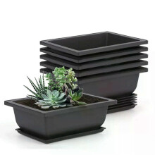 1 vaso per bonsai con 4 etichette per piante, vaso di plastica per la coltivazione di piante bonsai