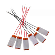 1Pc Neue 12v/220v PTC Heizelement Heizung Ei Inkubator Für Konstante Thermostat Thermistor Luft Beheizt