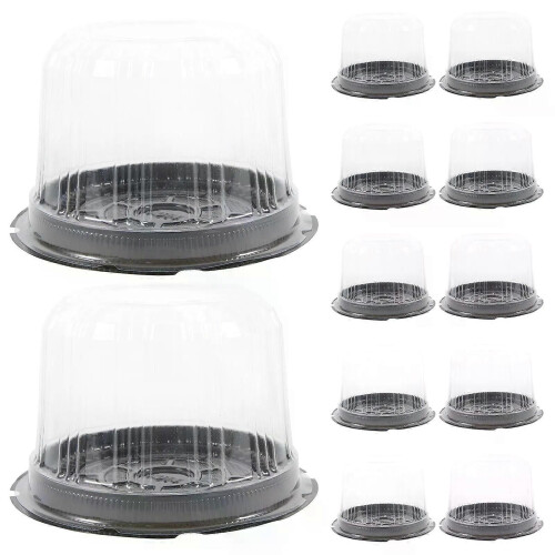 20 Pcs Packing Box Cake Dessert Containers Cold Shipping Boxes Flash Holder Plastic Multi-function Case