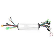 24V 36V 48V 350W Dual Drive Bike Controller Fietsmotorcontroller Constante snelheid voor elektrische