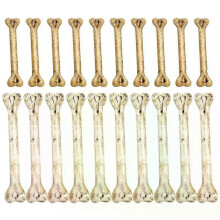 20st Highly Halloween Leksaker Multifunktionella Fake Bones DIY Hanging Bone Charm Halloween Prop Halloween