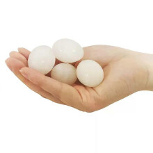 5 Pcs Nesting Egg Solid Plastic Geflügel Fütterung liefert falsche Eier Simulation solide Taube Eier