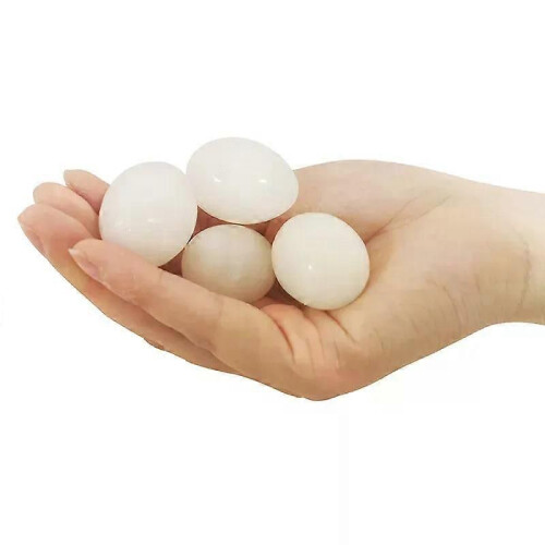 5 Pcs Nesting Egg Solid Plastic Geflügel Fütterung liefert falsche Eier Simulation solide Taube Eier