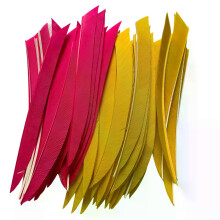 50 piezas 5 plumas de pavo real de ala derecha Plumas de Kyudo Flechas de tiro con arco Accesorios de