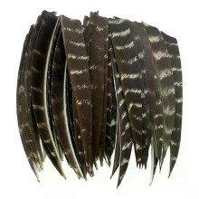 50 plumas naturales de 4 y 5 pulgadas, plumas de pavo con escudo de águila, accesorios para flechas.