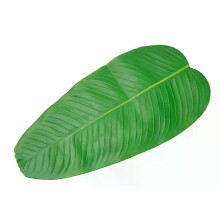 5 hojas de plátano artificiales grandes, hojas tropicales de imitación para decoración de escritorio
