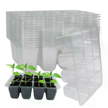 6/12 hål PET plantskola Växtlåda Plast fröplanta Startbricka Transparenta frön Groningsväxt Blomma