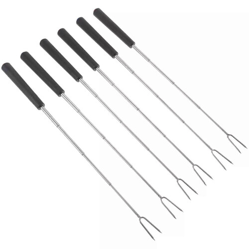 Lot de 6 fourchettes télescopiques pour barbecue