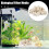 Akvariumväxtvikter Vattenvattenväxt Fasta ringar Filter för växtodling Turtle Tank Water 3