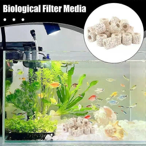 Akvariumväxtvikter Vattenvattenväxt Fasta ringar Filter för växtodling Turtle Tank Water 2