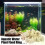 Akvariumväxtvikter Vattenvattenväxt Fasta ringar Filter för växtodling Turtle Tank Water 2