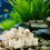 Akvariumväxtvikter Vattenvattenväxt Fasta ringar Filter för växtodling Turtle Tank Water 5