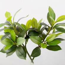 Plantas artificiales, ficus falso, baniano tropical, pequeñas ramas con hojas de plástico para jardín.
